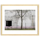 A tree in front of the wall thumbnail