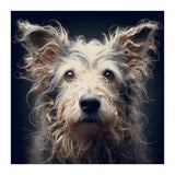 Old Dog 07 (Print Only) thumbnail