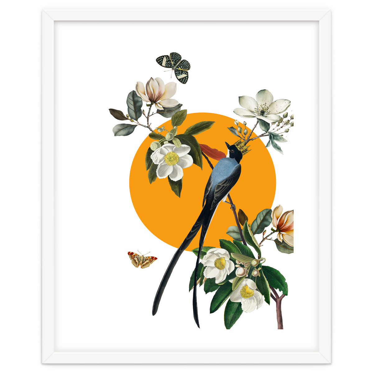 collage floral birds