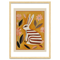 Striped Hare