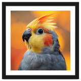 Cockatiel Parrot Close Up thumbnail