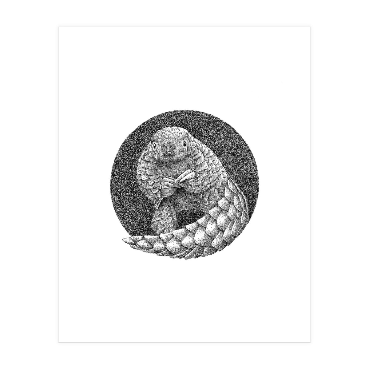Pangolin no. 1 (Print Only)