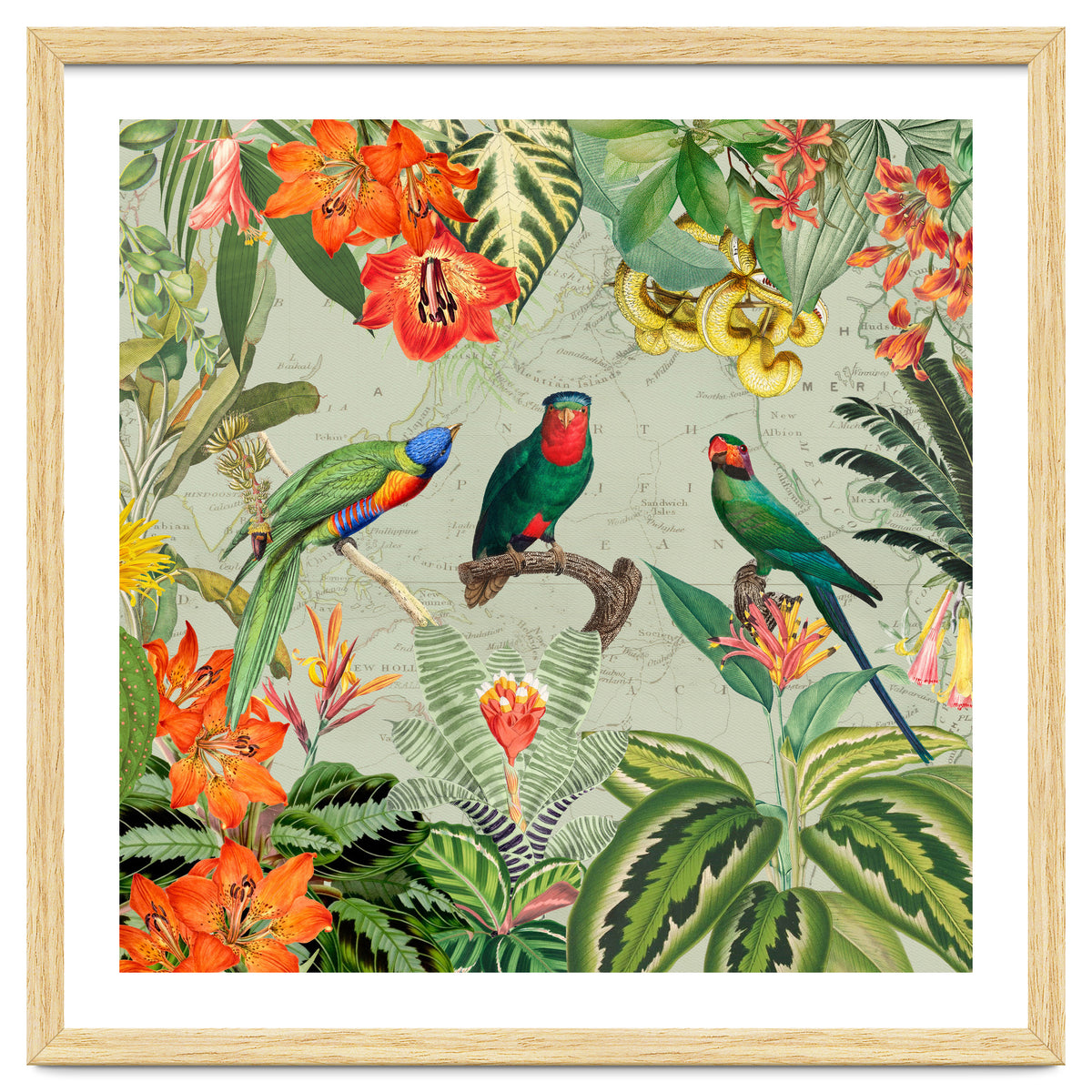 Exotic Parrots Jungle Landscape