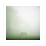 Silence of breath - 09 (Print Only) thumbnail