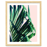 Palm V2 thumbnail