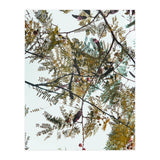 Patterns In Nature (Print Only) thumbnail
