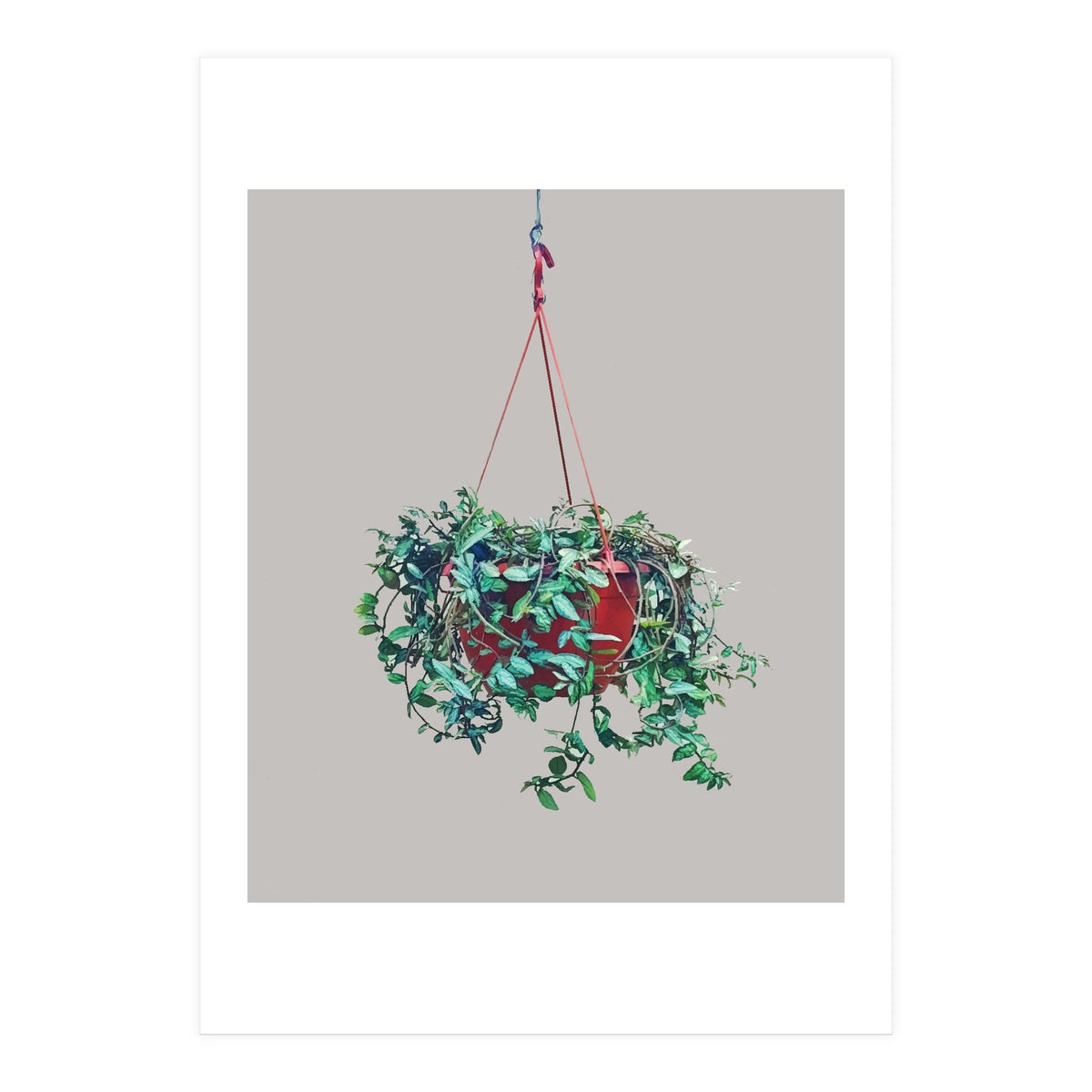 Hanging Plant (Print Only)