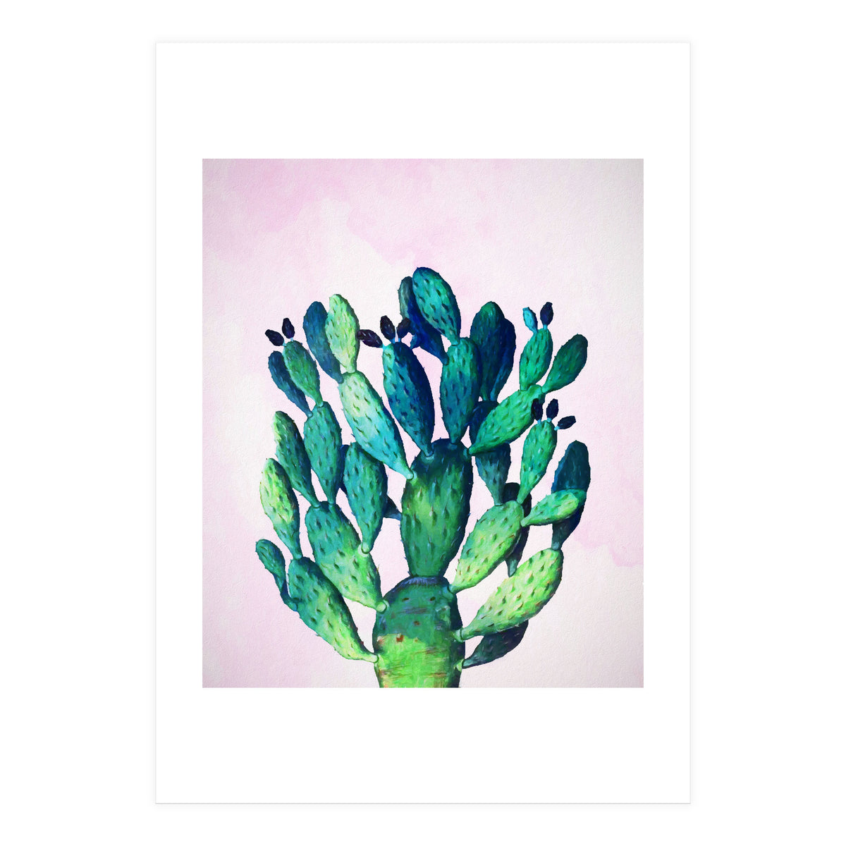 Cactus Three Ways (Print Only)