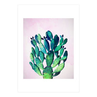 Cactus Three Ways (Print Only)