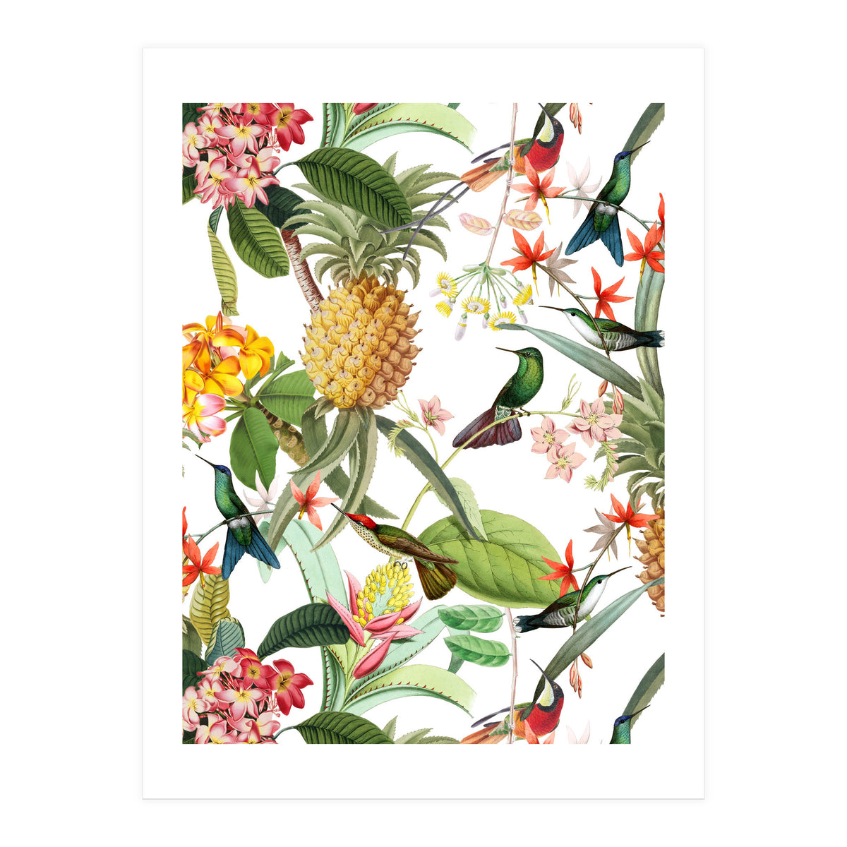 Hummingbirds in tropical Jungle (Print Only)