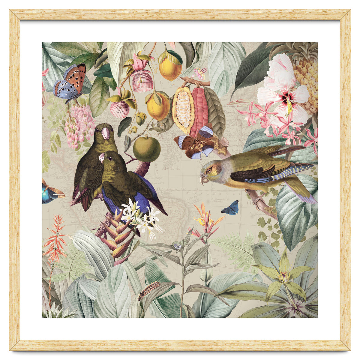 Colorful Parrots And Butterflies In Flower And Fruit Tropical Jungle