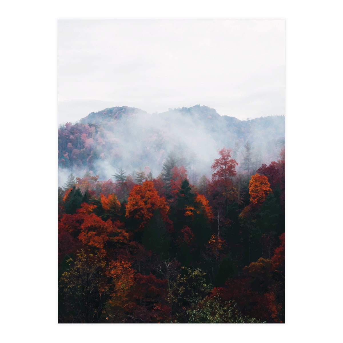 Fog (Print Only)