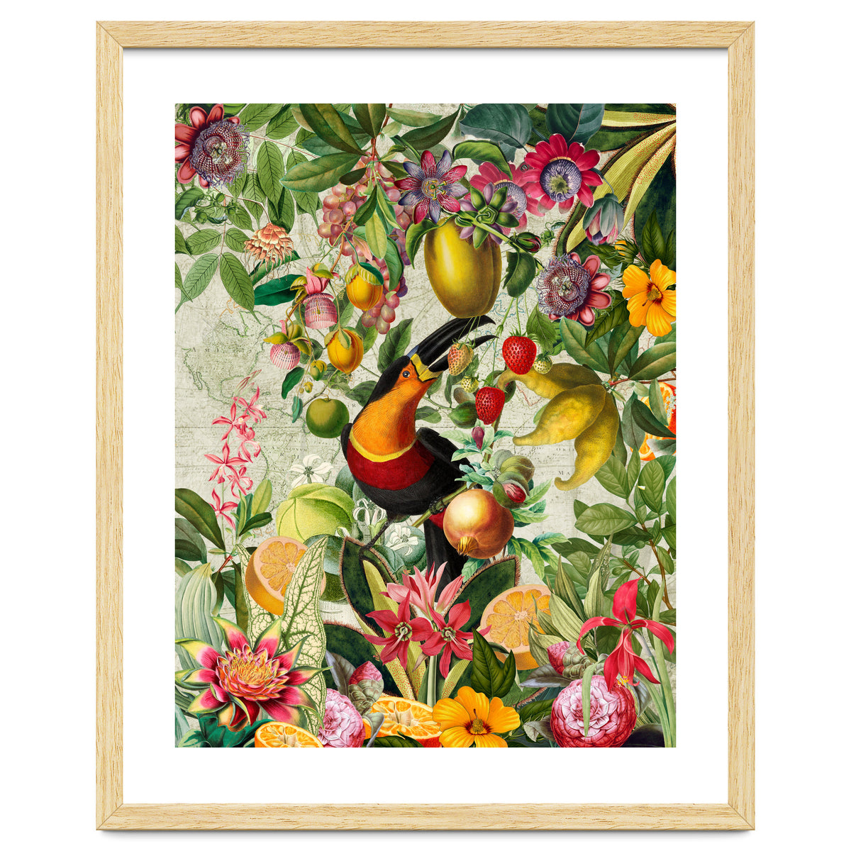 Toucan vintage jungle 1