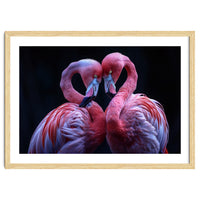 Two Pink Flamingos Forming A Heart Shape