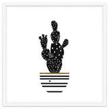 Black Cactus thumbnail