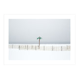 Fake palm tree in the winter snow beach (Print Only) thumbnail