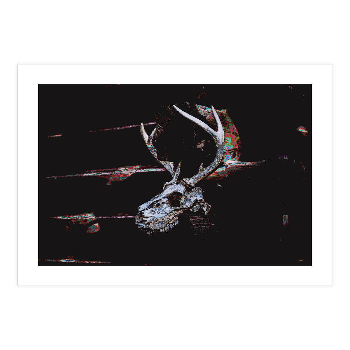 Deer Skull (Print Only)