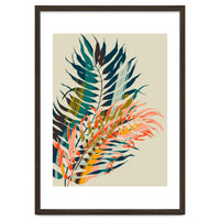 Colorful Palm Leaves