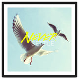 Never Settle thumbnail