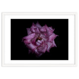 Backyard Flowers No 111 Color Version thumbnail