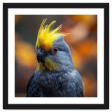Close-up Portrait of a Yellow Cockatoo in the Wild. thumbnail