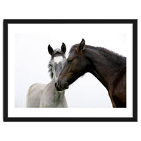 Two Horses