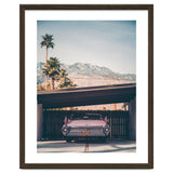 Palm Springs Pink thumbnail