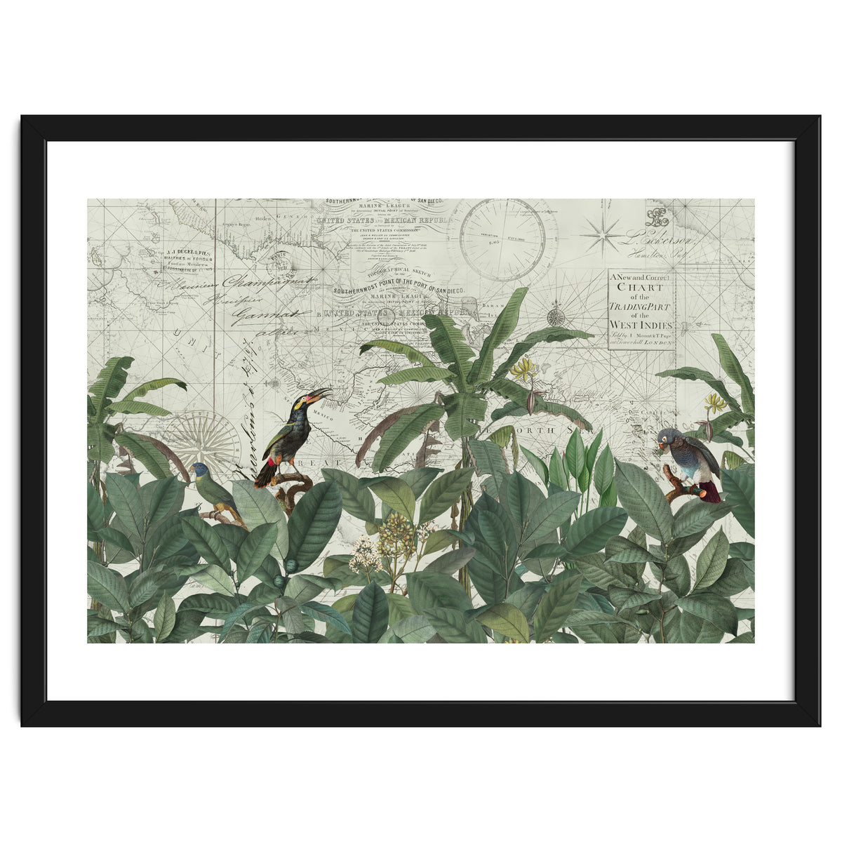 Explore The New World