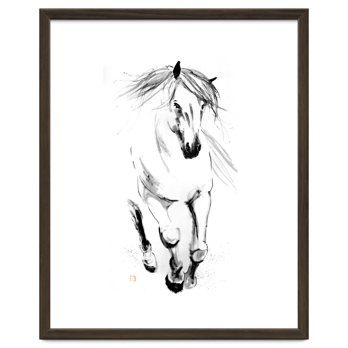 Runninh Ghorse In Water