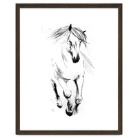 Runninh Ghorse In Water