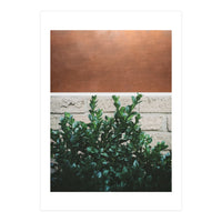 Plant + Copper (Print Only)