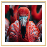 Close Up Flamingo Head With Bright Red Feathers thumbnail