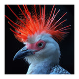 Secretary Bird (Print Only) thumbnail
