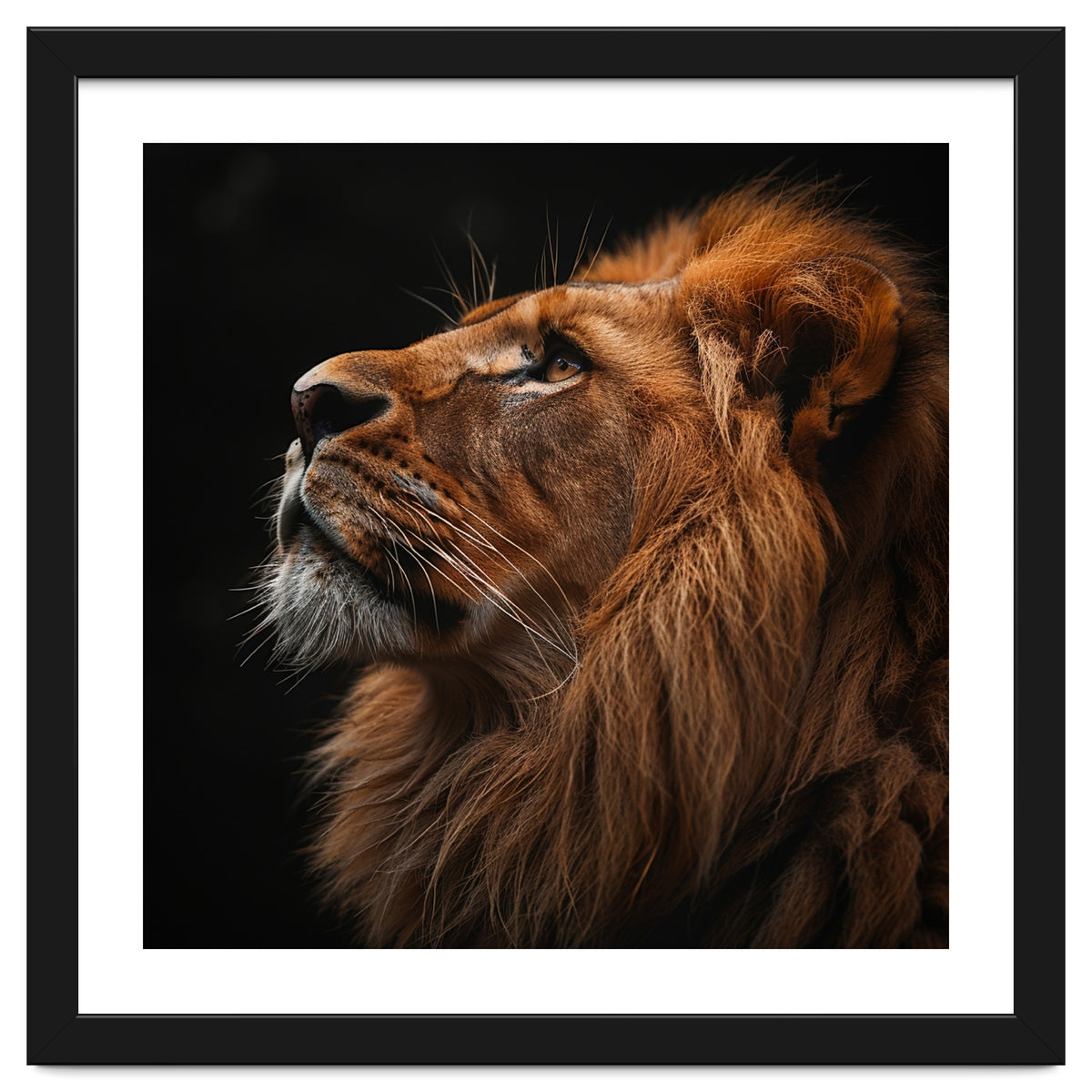 Majestic Lion Portrait Profile Majestic Beast