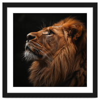 Majestic Lion Portrait Profile Majestic Beast
