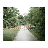 Entrance to the green park (Print Only) thumbnail