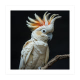 White Cockatoo Parrot Bird Perched On Branch (Print Only) thumbnail
