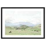 Relaxing horses on a sunny day calm field - Iceland thumbnail