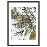 Patterns In Nature thumbnail