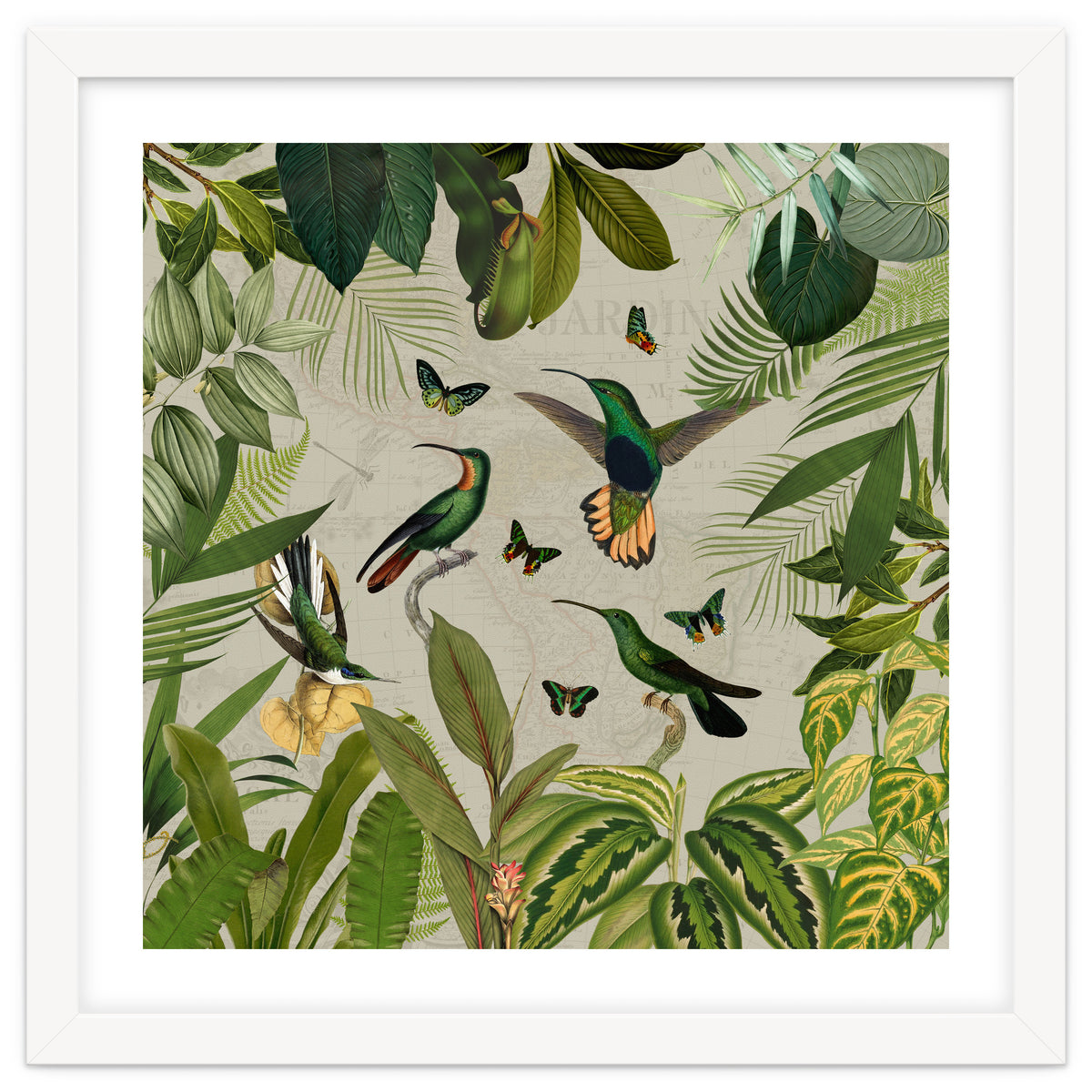 Vintage Exotic Hummingbirds Jungle