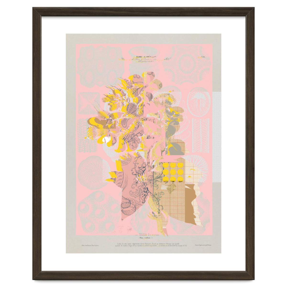 The First Plant · Tuesday Mix Mit Resten