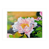 peony (Print Only) thumbnail
