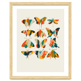 Colorful Butterflies thumbnail