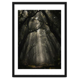 Enchanted Canopy: Mystical Forest Path thumbnail