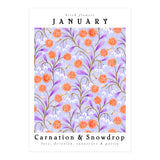 Carnations And Snowdrop January Birth Flower Floral Print (Print Only) thumbnail