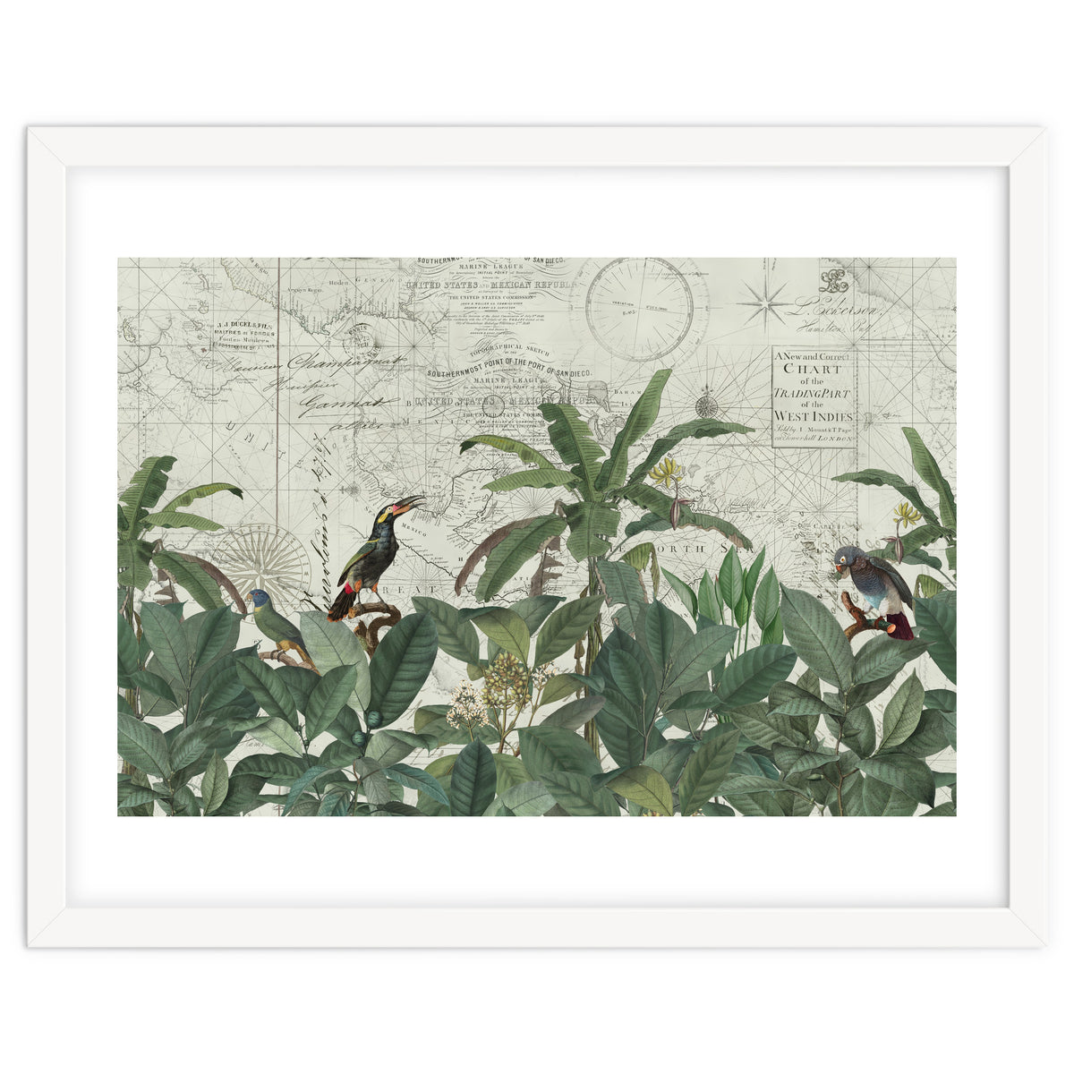 Explore The New World