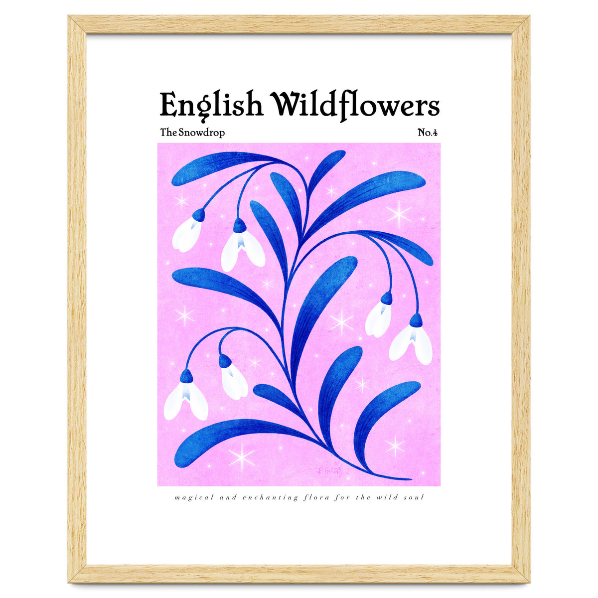English Wildflowers | Snowdrops