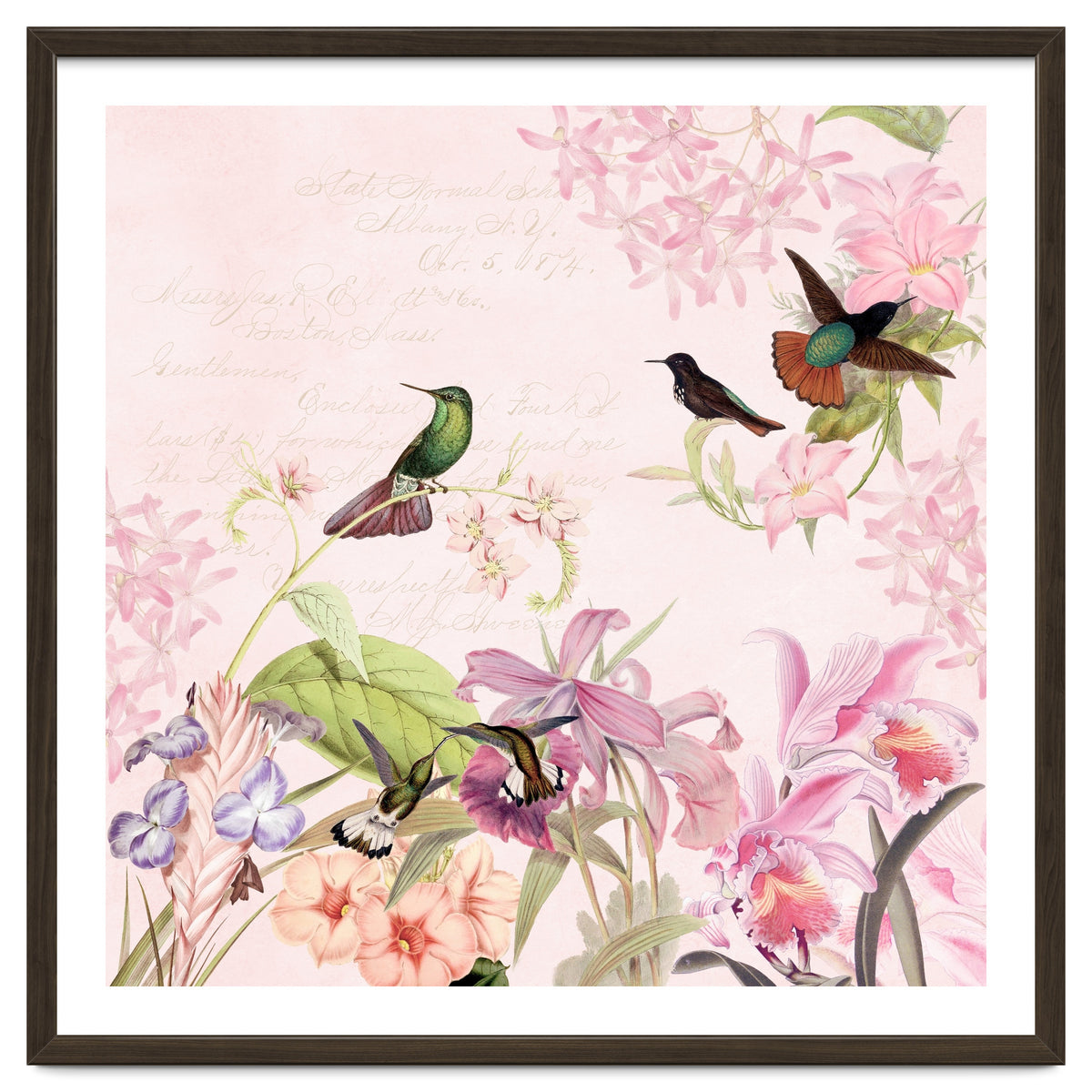 Hummingbirds in Flower Jungle