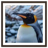 King Penguin In The Snow With Frosty Head thumbnail
