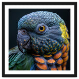 Close Up Portrait Of A Colorful Parrot's Face thumbnail